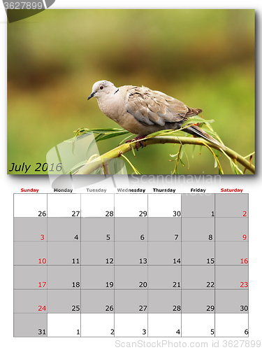Image of garden birds calendar  july 2016
