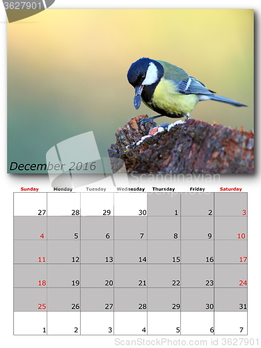 Image of garden birds calendar  december 2016