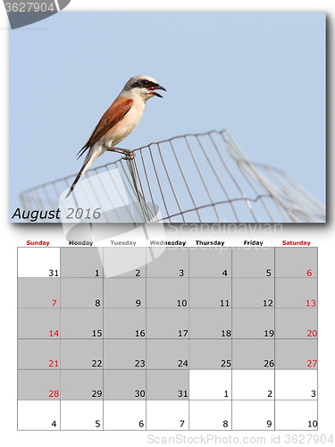 Image of garden birds calendar  august 2016