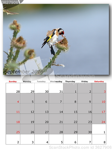 Image of garden birds calendar  september 2016