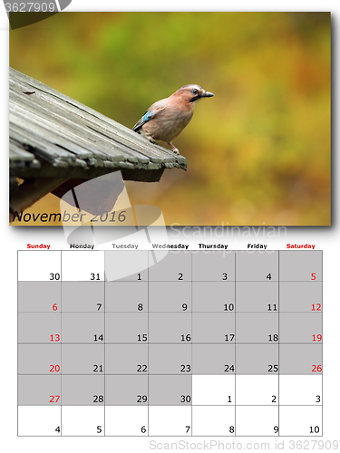 Image of garden birds calendar  november 2016