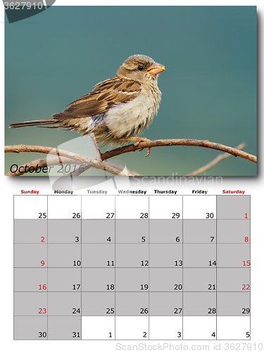 Image of garden birds calendar  october 2016