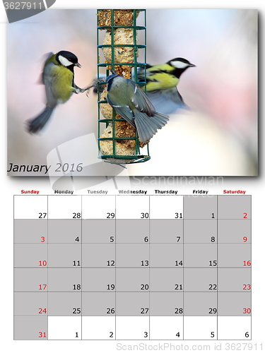 Image of garden birds calendar january 2016