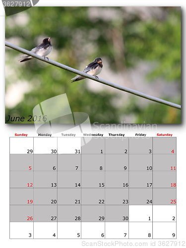 Image of garden birds calendar  june 2016