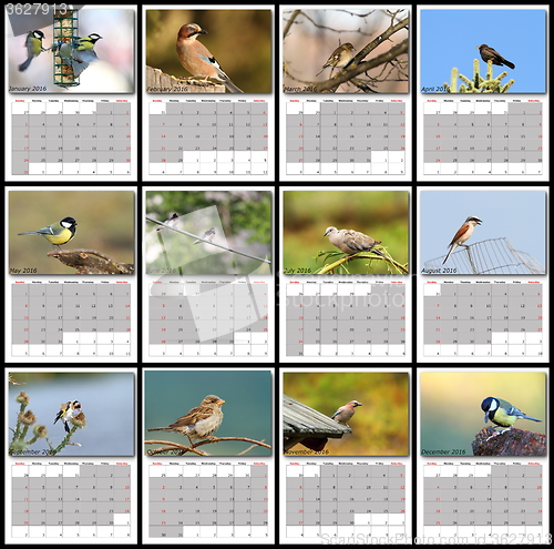 Image of garden birds calendar year 2016