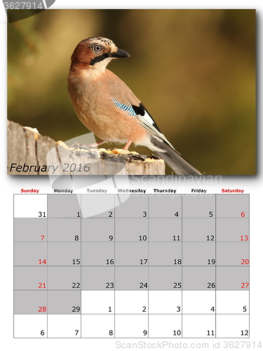 Image of garden birds calendar  february 2016