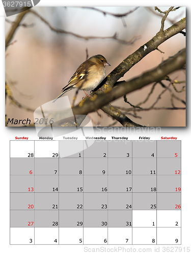 Image of garden birds calendar  march 2016
