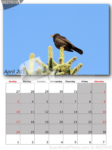 Image of garden birds calendar  april 2016