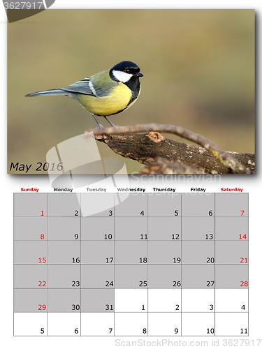 Image of garden birds calendar  may 2016