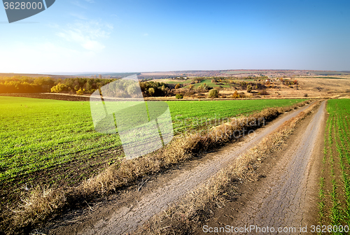 Image of Road through winter crops