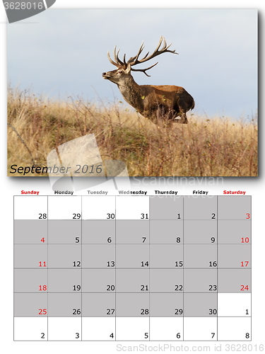 Image of wildlife calendar september 2016