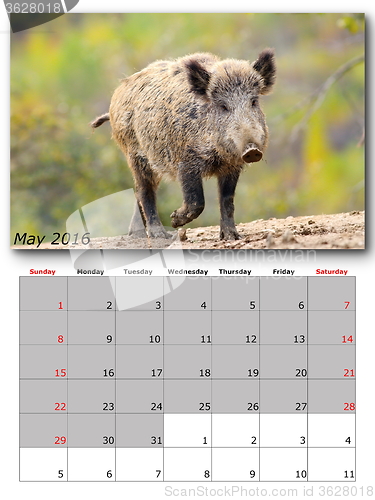 Image of wildlife calendar may 2016
