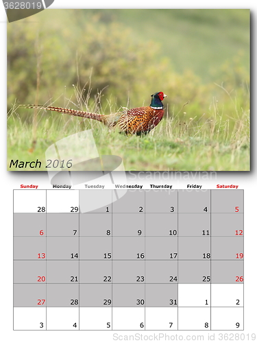 Image of wildlife calendar march 2016
