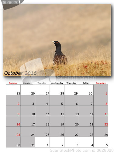 Image of wildlife calendar october 2016