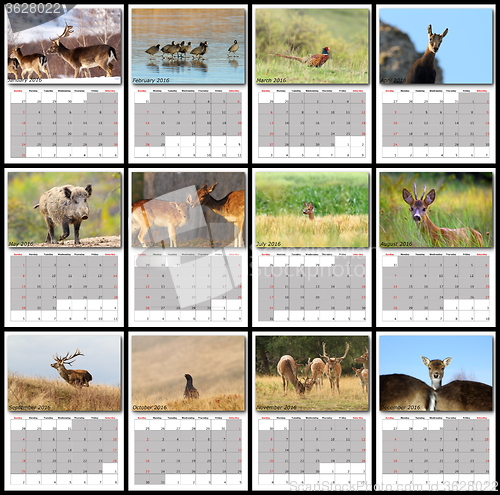Image of wildlife calendar 2016