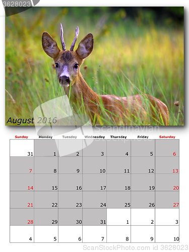 Image of wildlife calendar august 2016