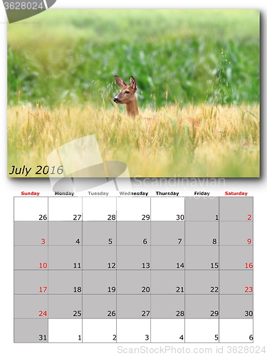 Image of wildlife calendar july