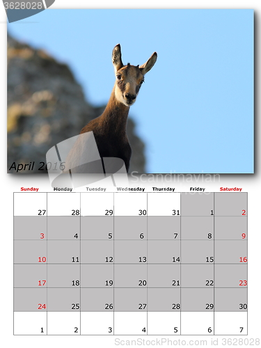 Image of wildlife calendar april 2016