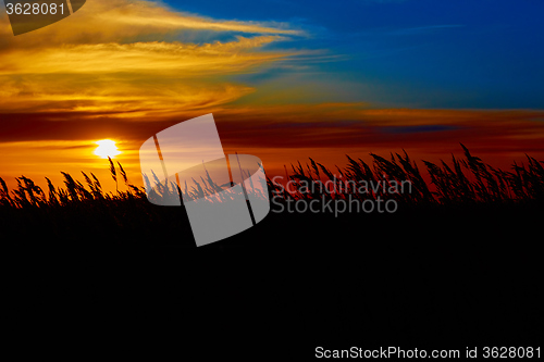 Image of Sunset in the steppe.