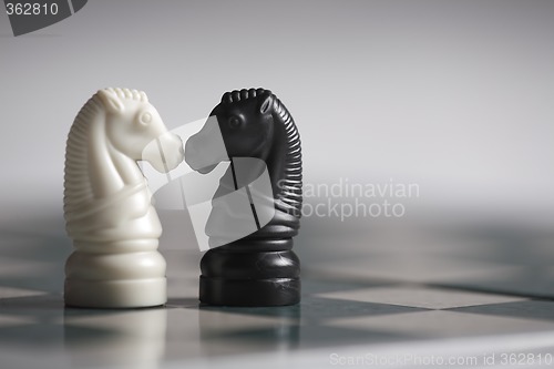 Image of Chess Horses