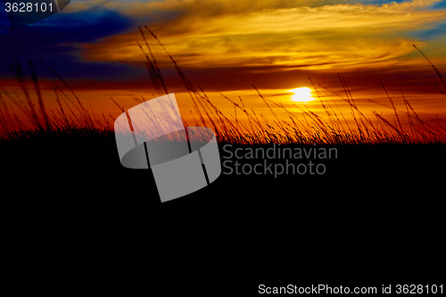 Image of Sunset in the steppe.