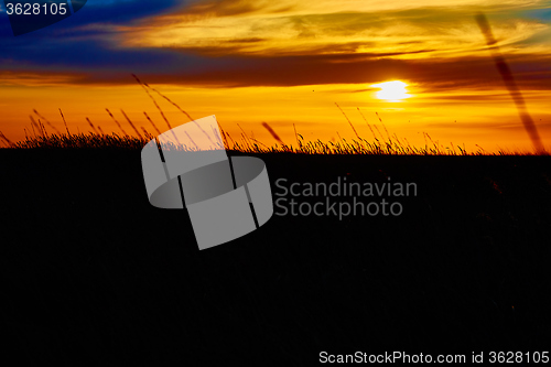 Image of Sunset in the steppe.