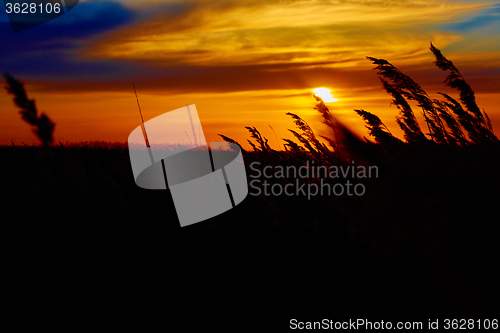 Image of Sunset in the steppe.