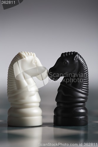Image of Chess Horses