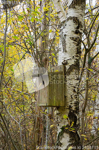Image of birdhouse in the tree