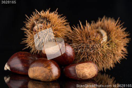 Image of Chestnuts on a black reflective background