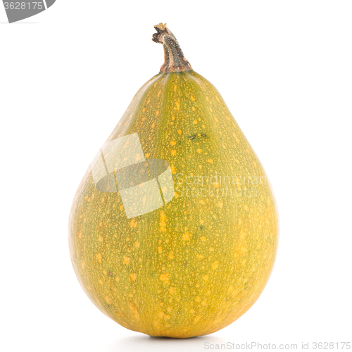 Image of Pumpkin