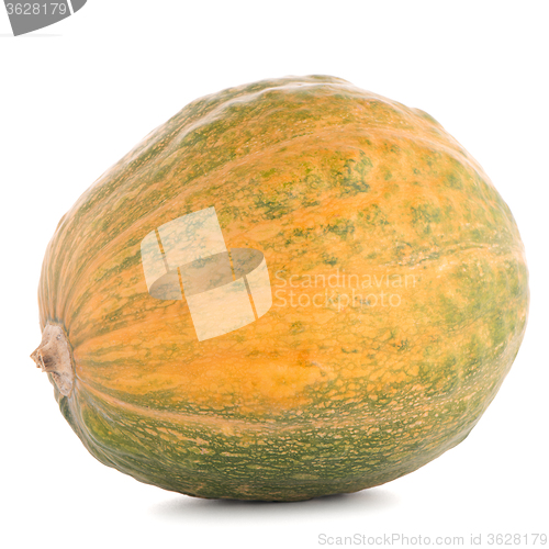 Image of Pumpkin