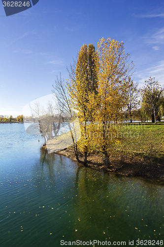 Image of Trees along Lake in the autumn