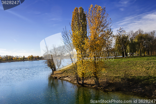 Image of Trees along Lake in the autumn