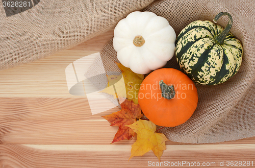 Image of Three autumn gourds with maple leaves 