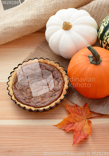 Image of Mini pumpkin pie with fall gourds