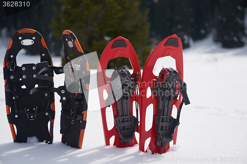 Image of winter snowshoes