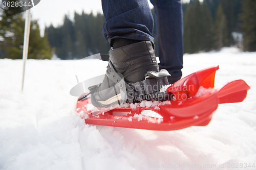 Image of couple having fun and walking in snow shoes