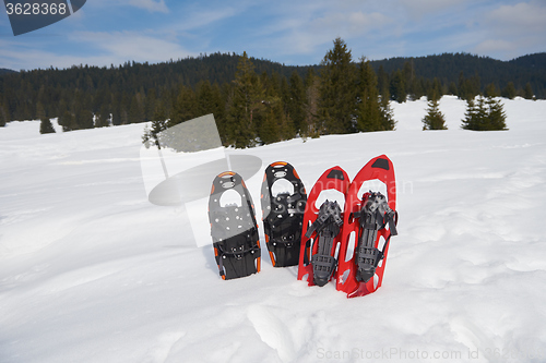 Image of winter snowshoes