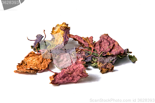 Image of colorful dried patchouli leaves over white