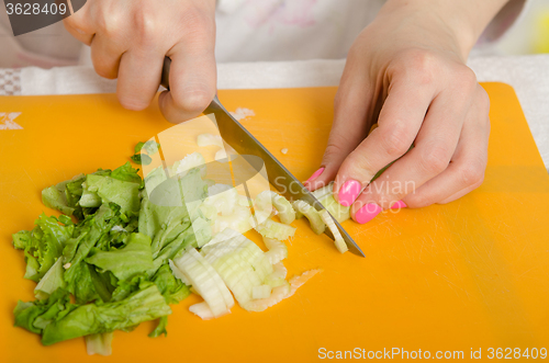 Image of Close up of a female hand cutting celery and herbs