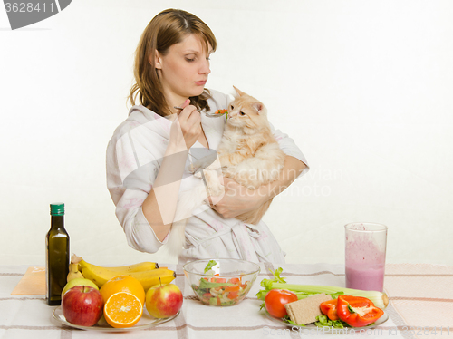 Image of Dissatisfied cat sniffs offered her a spoonful of vegetable salad
