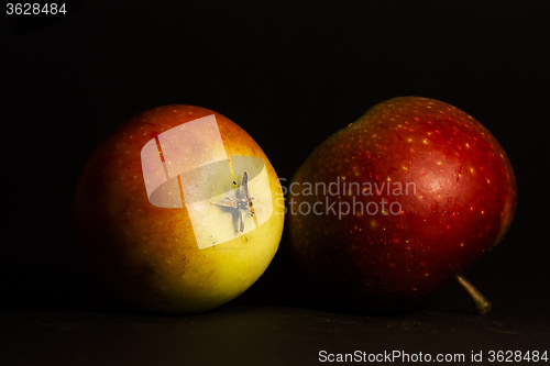 Image of apples