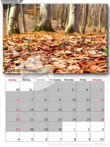 Image of november nature calendar page layout