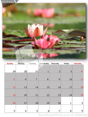 Image of june nature calendar page layout