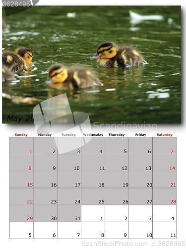 Image of may nature calendar page layout
