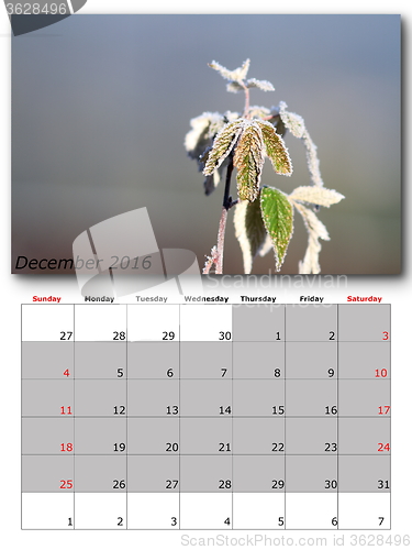 Image of december nature calendar page layout