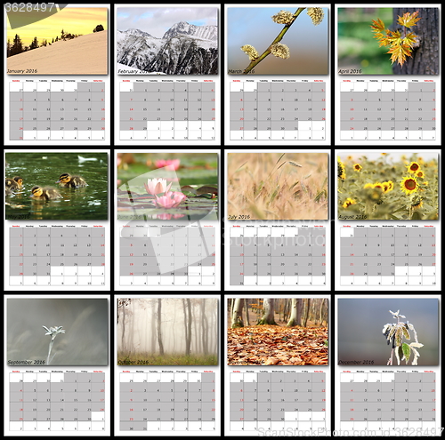 Image of nature images calendar year 2016