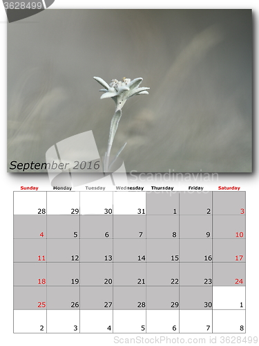 Image of september nature calendar page layout