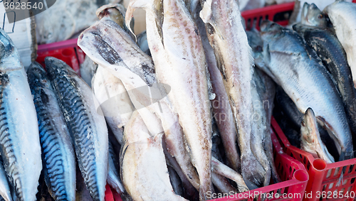Image of fish market